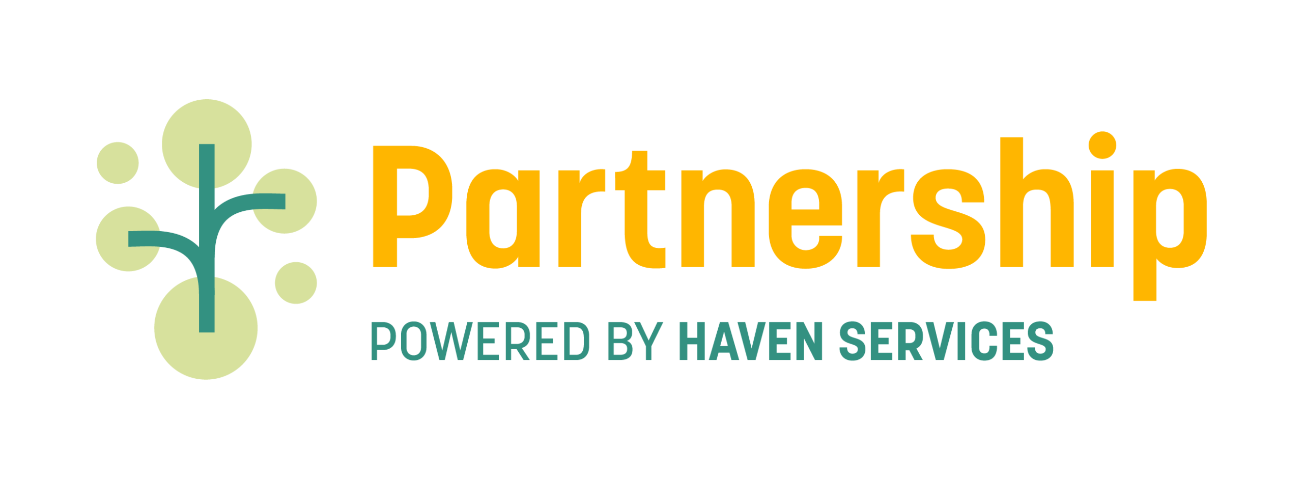 Partnership Progam